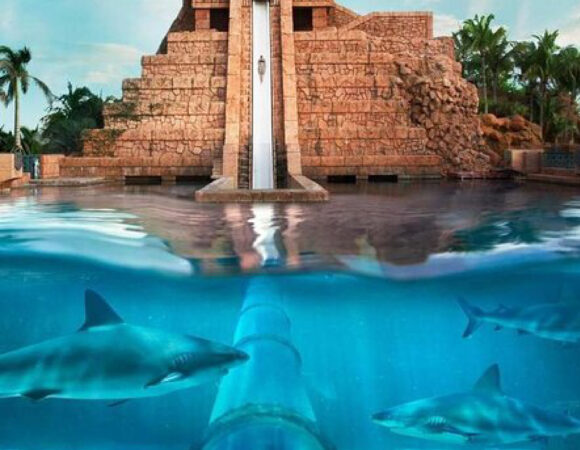 Atlantis Aquaventure Waterpark